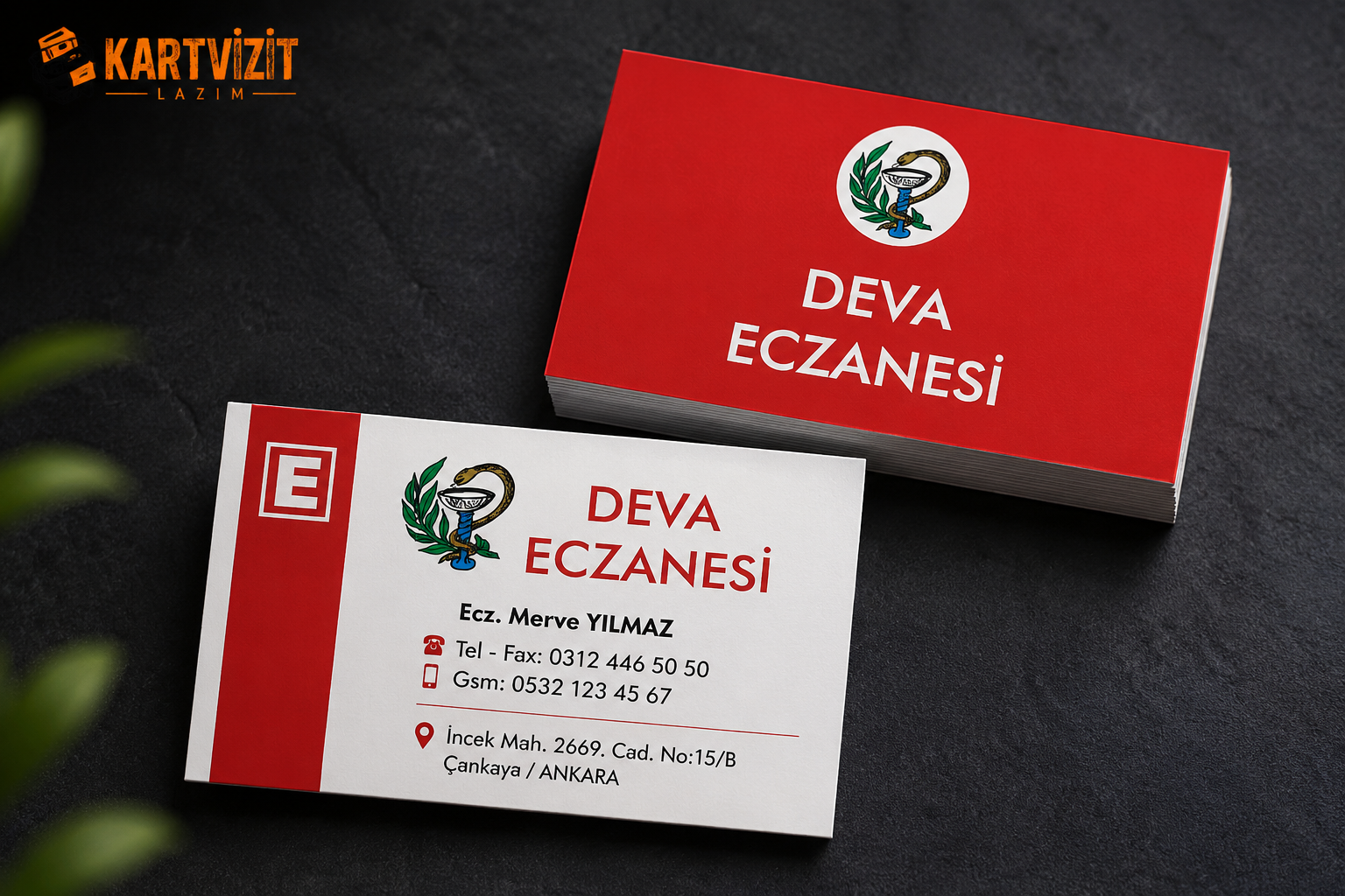 Eczacı Kartvizitleri